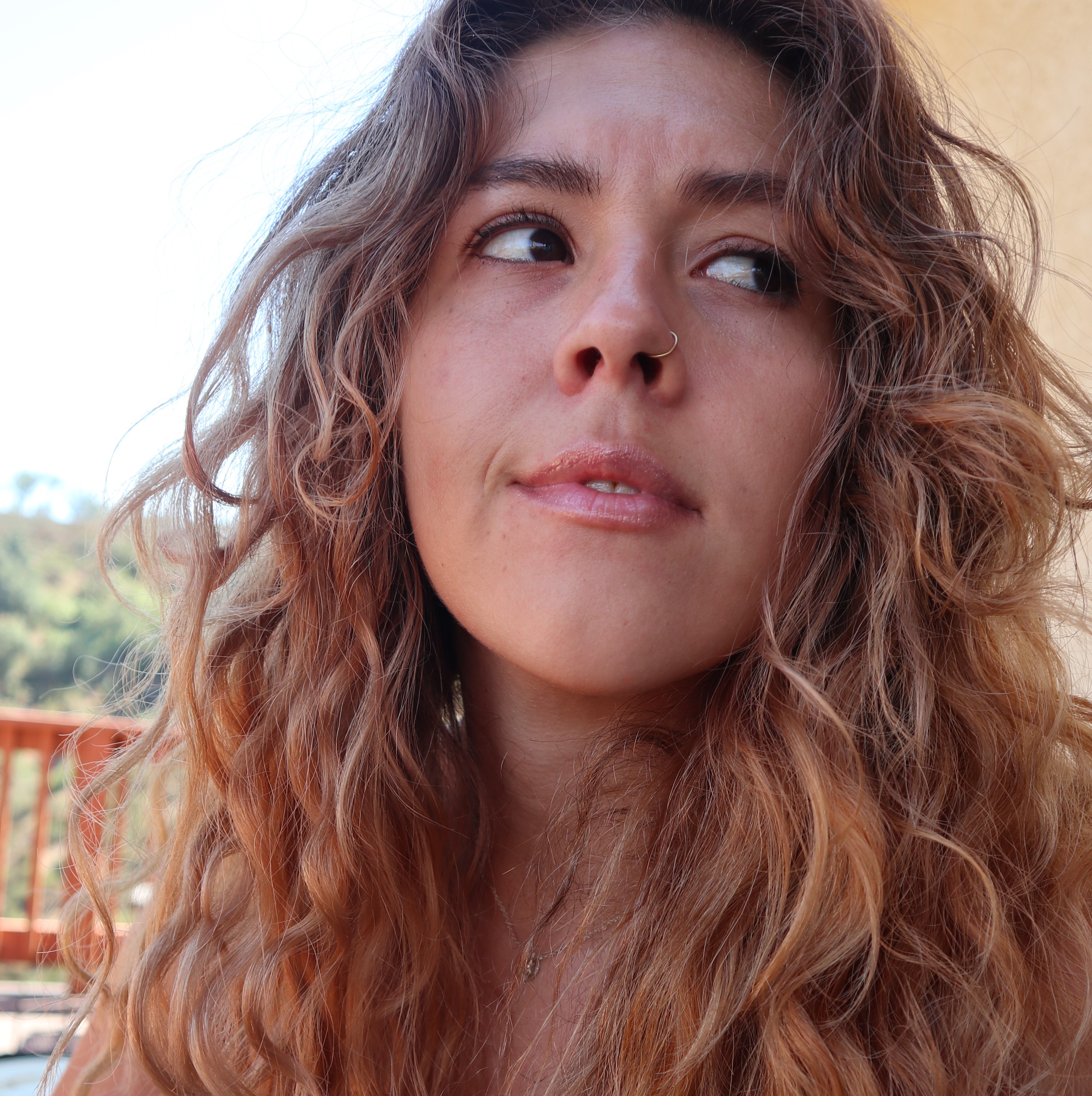 A picture of a user interface dev