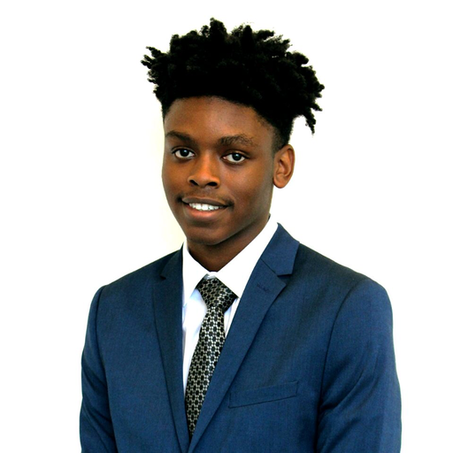 A picture of an android dev